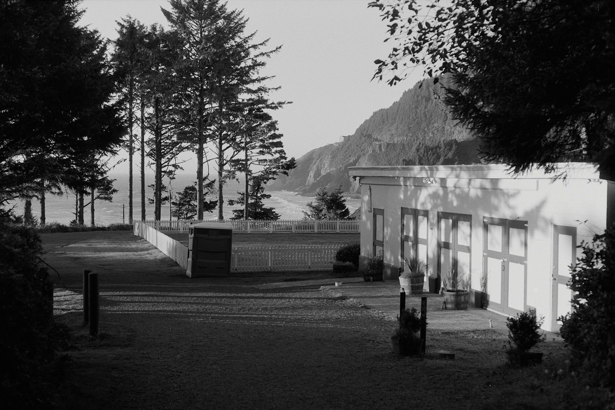 Black and white photo 11